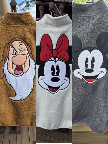 Disneyland paris mickey - disneyland,